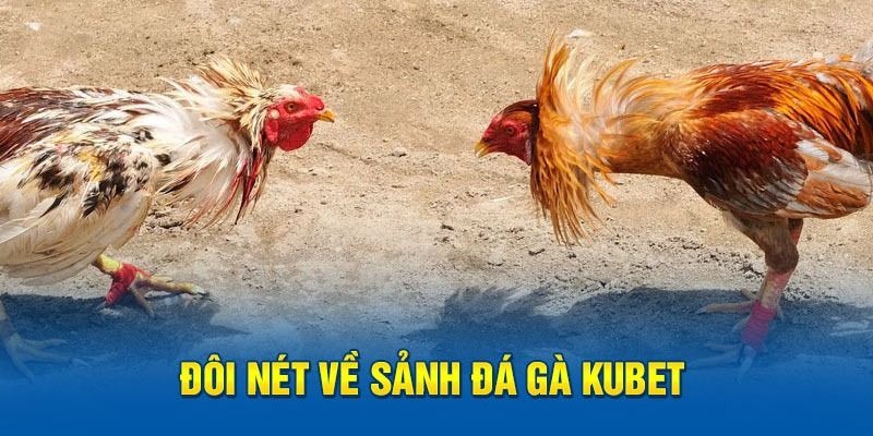 Tổng quan về trò chơi đá gà online tại nhà cái Kubet